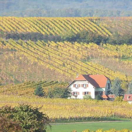 Maison D'hotes Les Feuilles D'or