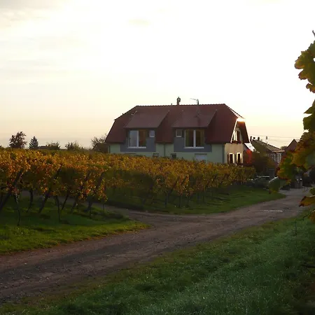 Maison D'hotes Les Feuilles D'or Guest house Eichhoffen