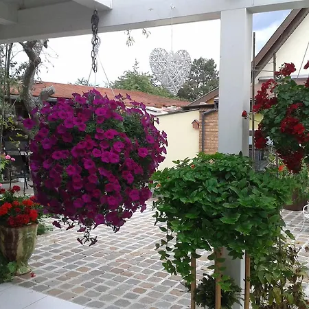 בית הארחה Maison D'hotes Les Feuilles D'or Eichhoffen