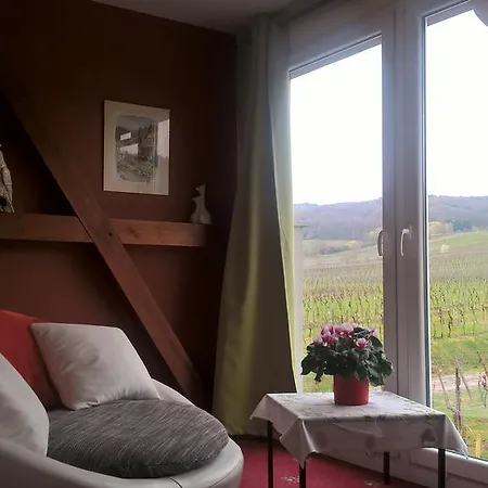 Maison D'hotes Les Feuilles D'or Eichhoffen