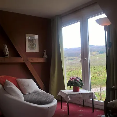 בית הארחה Maison D'hotes Les Feuilles D'or